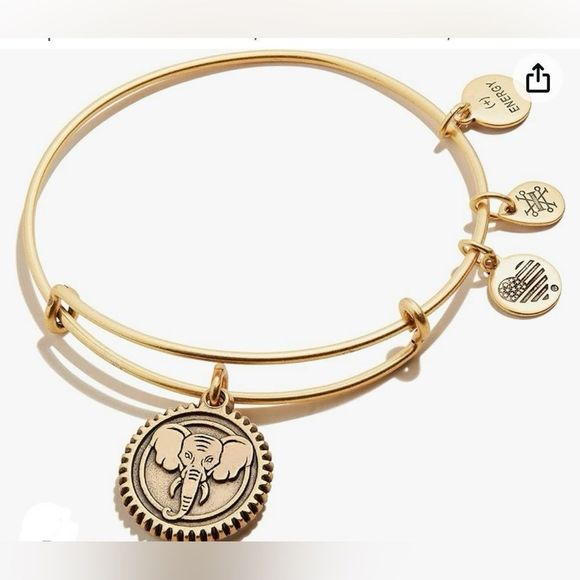 Alex & Ani Create Chain Clasp Bracelet With Slider Charms Expandable Bracelets - Picture 10 of 17